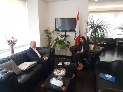 استقبلت وزيرة المهجرين النائب ألان عون والنائب ادغار طرابلسي 